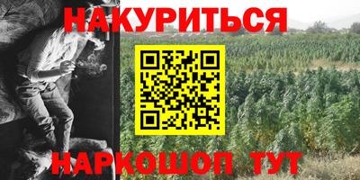 шишки Пыть-Ях