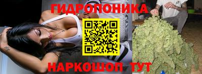шишки Пыть-Ях