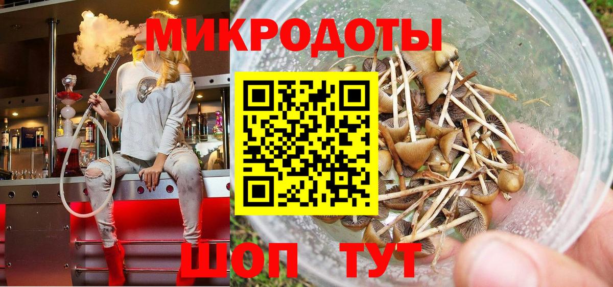 наркотики  Псилоцибиновые грибы Cubensis  Светлоград  Вход с VPN  Псилоцибиновые грибы мицелий 