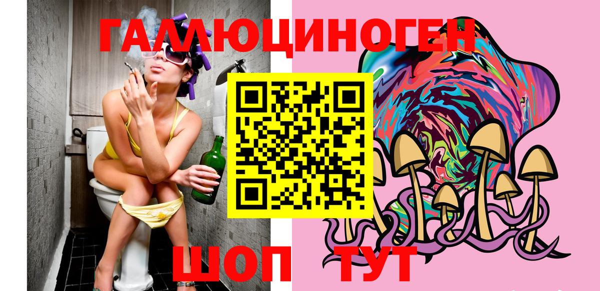 Галлюциногенные грибы мухоморы Светлоград